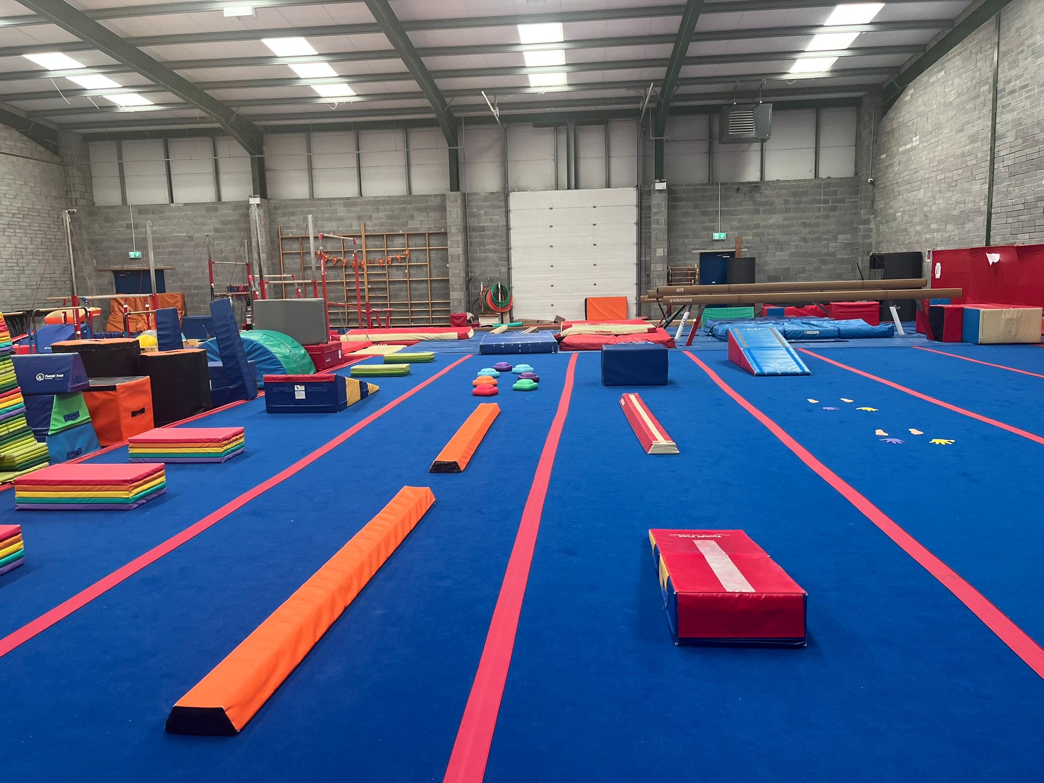 Birthday Party at Ennis Gymnastics